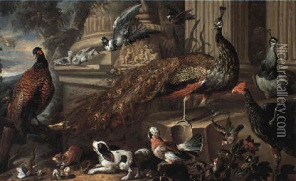 A Peacock And A Peahen And Other Birds, A Dog And A Weasel Oil Painting - Pieter Casteels III