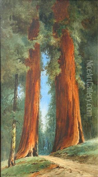 Path Through The Redwoods Oil Painting - Christian A. Jorgensen