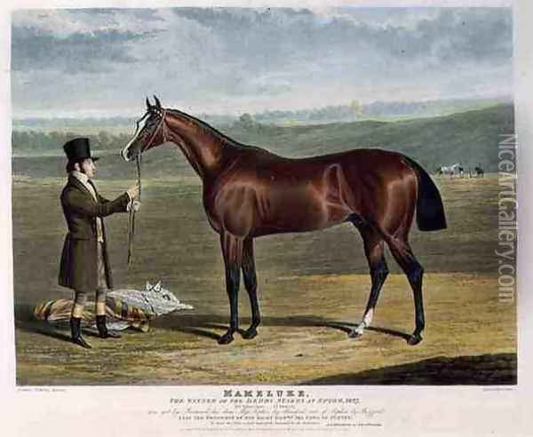 Mameluke the Winner of the Derby Stakes at Epsom Oil Painting - John Frederick Herring Snr