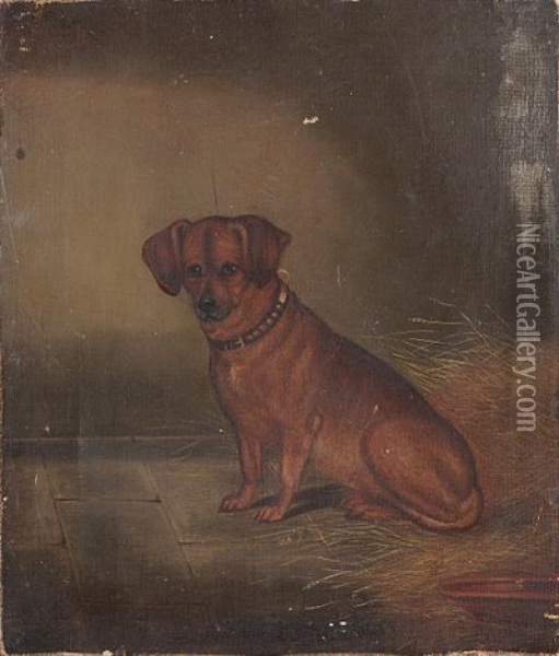 A Seated Dachshund Oil Painting - Edwin (of Bath) Loder