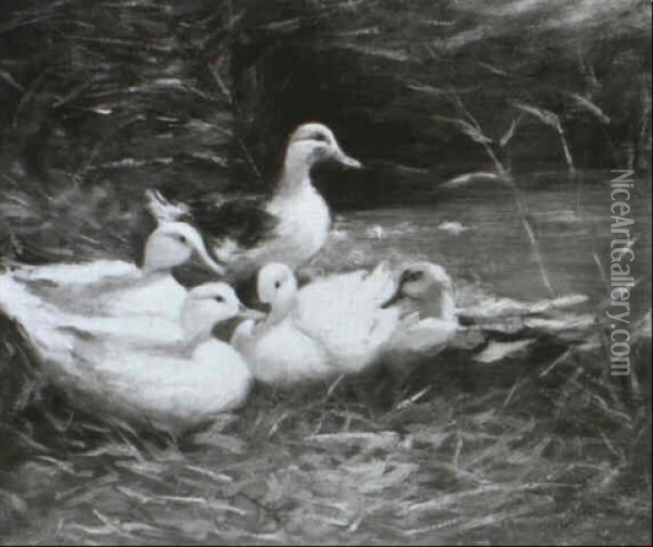Entenfamilie Am Seeufer Oil Painting - Hugo Jaeckel