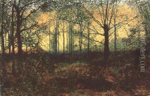 Horsforth Woods, Near Leeds Oil Painting - John Atkinson Grimshaw