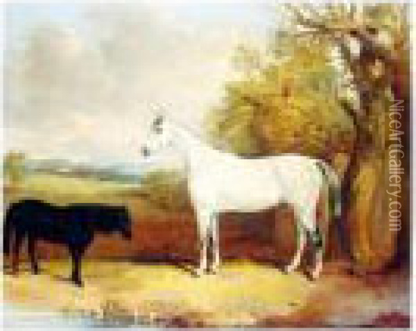 The Baron, A Dapple Grey Hunter, With Tom Thumb, A Black Pony, In A Field Oil Painting - Thomas W. Bretland
