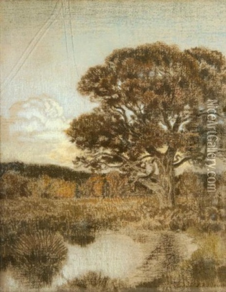 Arbres Dans Un Marais Oil Painting - Emile Rene Menard