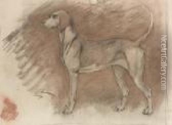 Hound At Attention Oil Painting - Robert Polhill Bevan