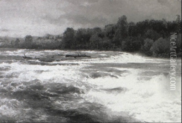 The Rapids Of Niagara Oil Painting - Hermann Herzog
