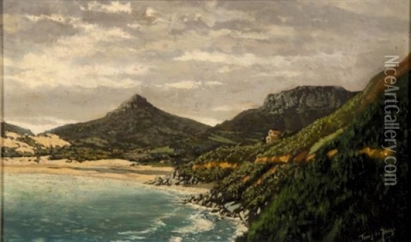 Cape Seascape Oil Painting - Tinus de Jongh