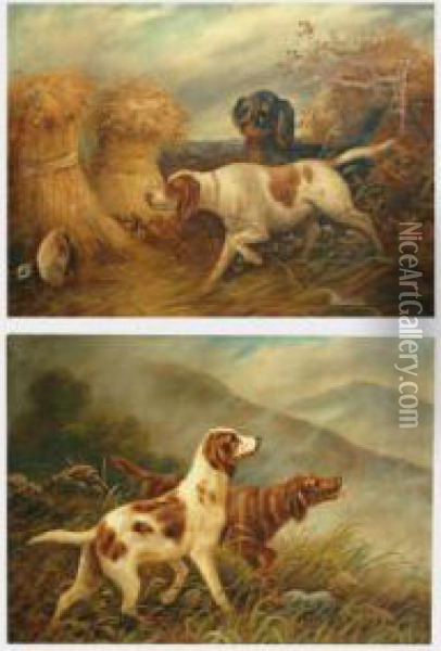 Irish Setter And Red Setter Beside A Loch And Corn Sheafs Oil Painting - Alfred Morris