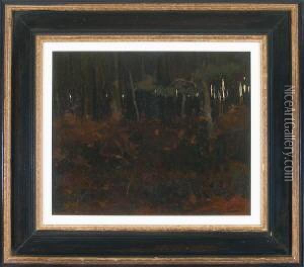 Dichtes Herbstliches Waldinneres Oil Painting - Willem Witsen