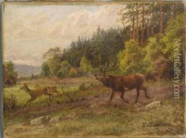 Hirsch Jagt Zwei Hirschkuhe Oil Painting - C. Sorensen