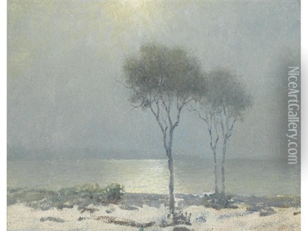 Moonlit Shore With Eucalyptus Oil Painting - Granville S. Redmond