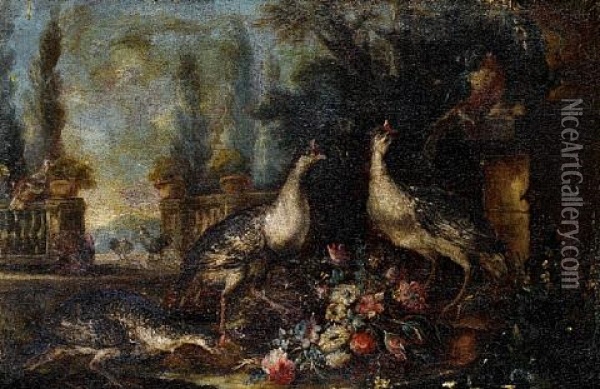 Pheasants And A Parrot Before An Italianate Garden (+ Poultry On A Terrace, Before An Italianate Landscape; Pair) Oil Painting - Giovanni (Crivellino) Crivelli