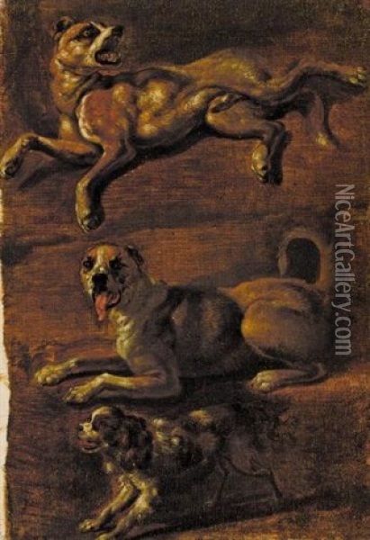Studies Of Dogs (3 Works) Oil Painting - Eduard Dubois