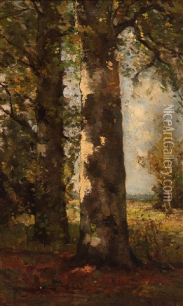 The Birch Forest Oil Painting - Theophile De Bock