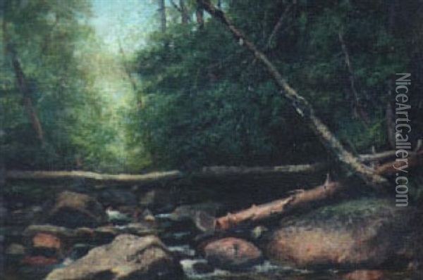 Logs Over A Forest Stream Oil Painting - George Albert Frost