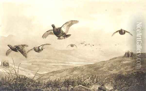 On the grouse moor Oil Painting - Archibald Thorburn