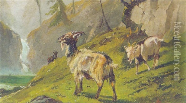 Ziegen Am Bergsee Oil Painting - Gustav Ranzoni