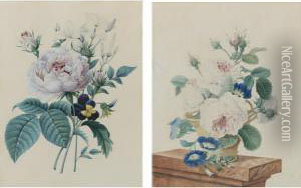 Botanical Study Oil Painting - Auguste Piquet De Brienne