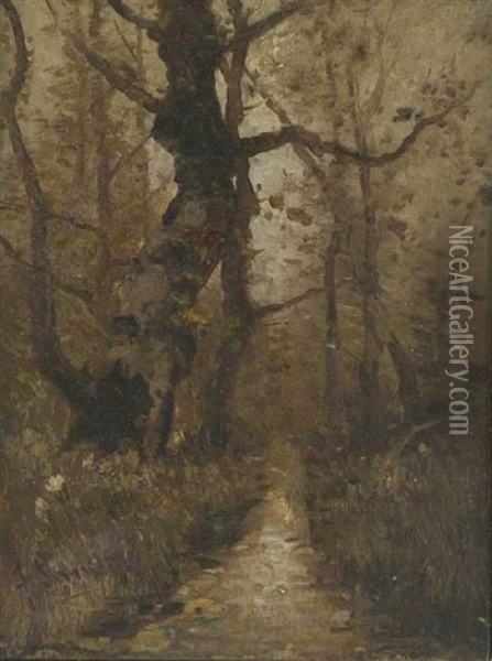 Waldweg In Der Dammerung Oil Painting - Johann Jungblut