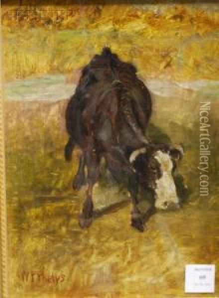 The Roving Cow Oil Painting - William Preston Phelps