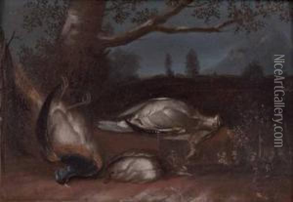 Stillleben Mit Fasanen In Landschaft Oil Painting - Franz Joseph Textor