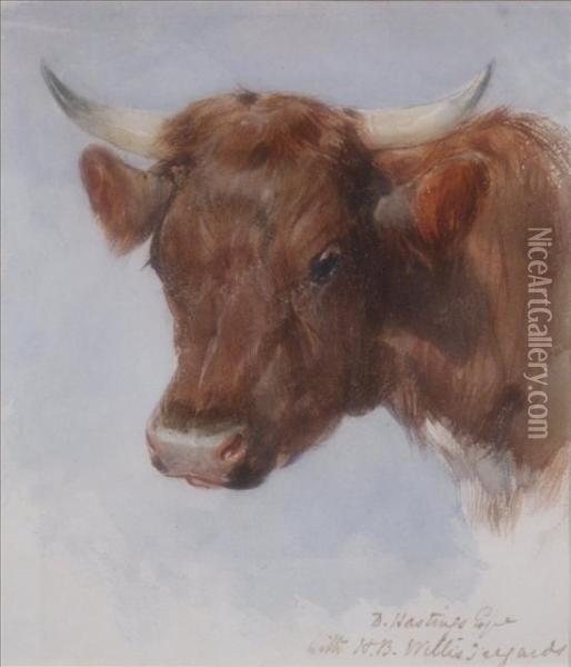 Study Of A Cows Head Oil Painting - Henry Brittan Willis