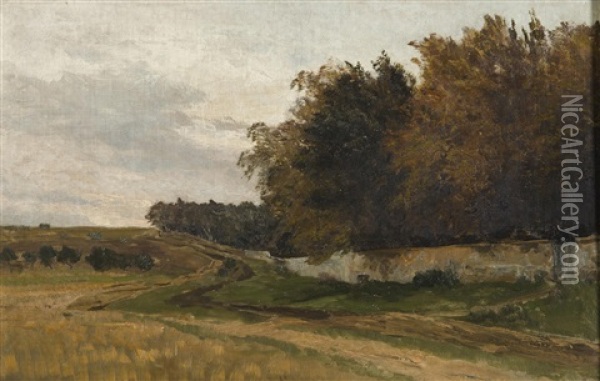Field Behind The Forest Park Oil Painting - Hugo Darnaut