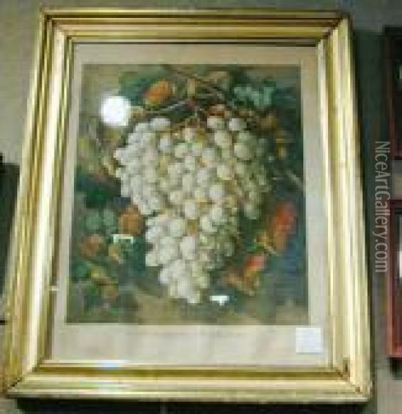 First Premium Grapes Oil Painting - Currier & Ives Publishers