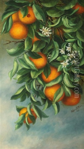 Orange Tree Oil Painting - Ellen Francis Burpee Farr