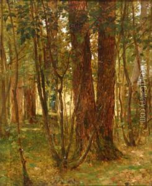 Forest Interior Oil Painting - Louis Remy Matifas