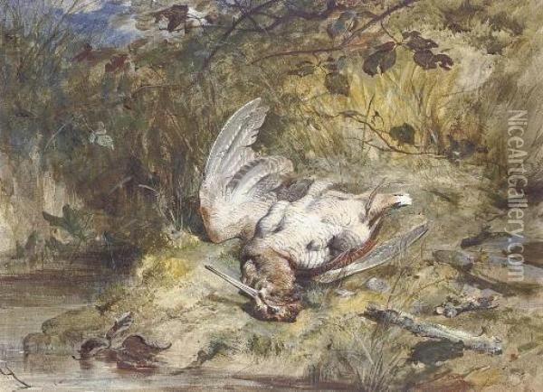 A Dead Woodcock By A Stream Oil Painting - James Jnr Hardy