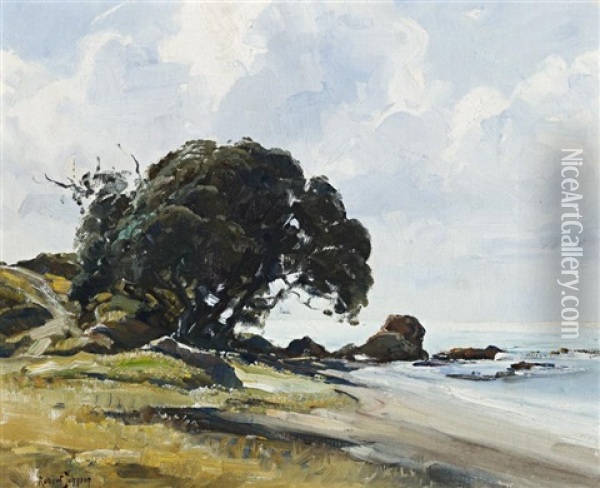 Pohutukawa Tree, New Zealand Oil Painting - Robert Johnson
