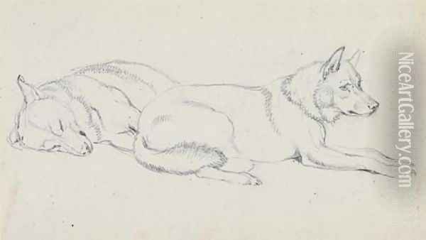 Study of huskies Oil Painting - Sir Edwin Henry Landseer