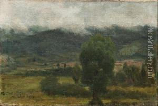Paisaje Con Prados Y Niebla Oil Painting - Manuel Salces y Gutierrez