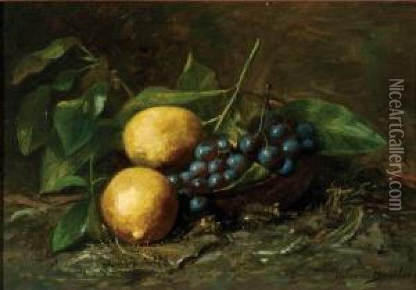 Stilleven Met Druiven En Citroenen Oil Painting - Helena Maria Van Borselen