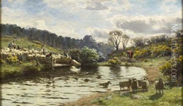 Sheep Plunging Oil Painting - David Farquharson