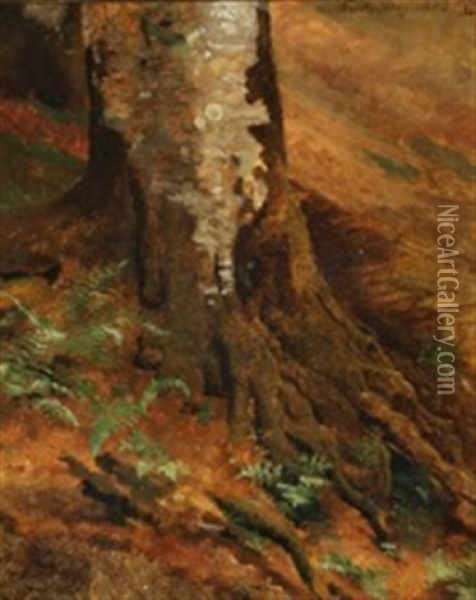 Beech Root With Ferns Oil Painting - Johan Thomas Lundbye