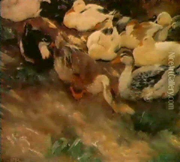 Enten Am Ufer Oil Painting - Alexander Max Koester