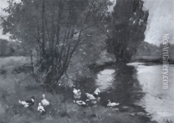 Ducks By A Stream Oil Painting - Frederick Charles Vipont Ede