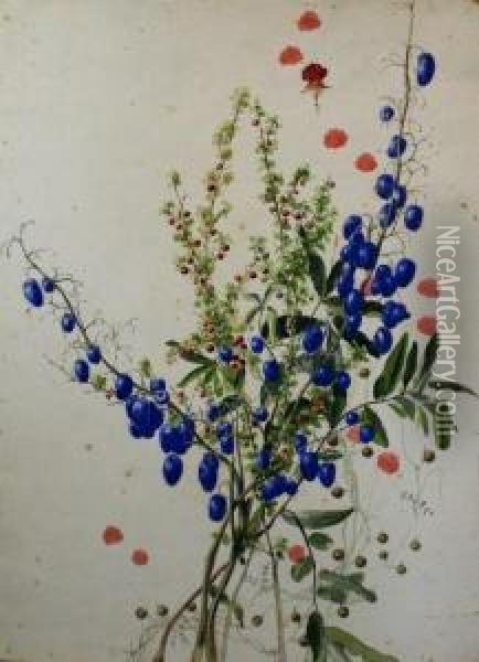 Flower Study Oil Painting - Emma Minnie Boyd