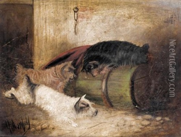 Terriers Ratting (pair) Oil Painting - George Armfield