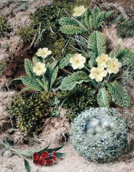 Primroses and Nest, 1877 Oil Painting - John Sherrin