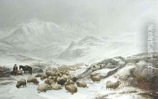 Drovers collecting their flocks under the fells, East Cumberland Oil Painting - Thomas Sidney Cooper