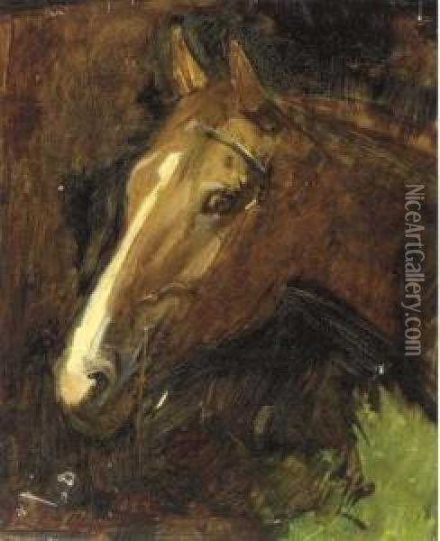 Study Of A Horse Oil Painting - Abbott Handerson Thayer