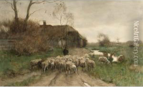Sheep Going To The Stable Oil Painting - Willem II Steelink