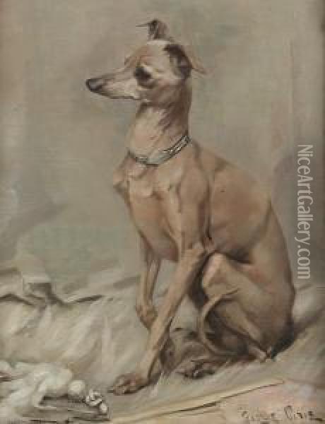 Dino, An Italian Greyhound Oil Painting - George Pirie