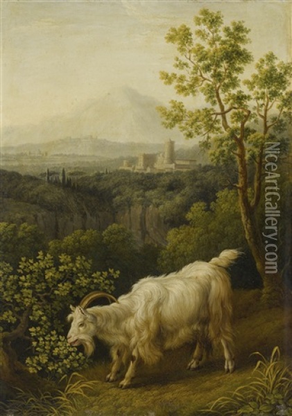 A Male Goat In An Italianate Landscape Oil Painting - Jacob Philipp Hackert