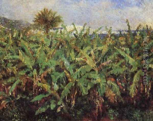 Field Of Banana Trees Oil Painting - Pierre Auguste Renoir