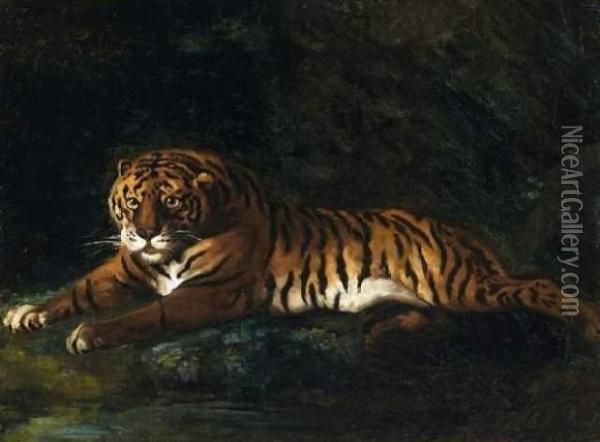 Tigre Royal Couche Au Bord D'un Ruisseau Oil Painting - Theodore Gericault