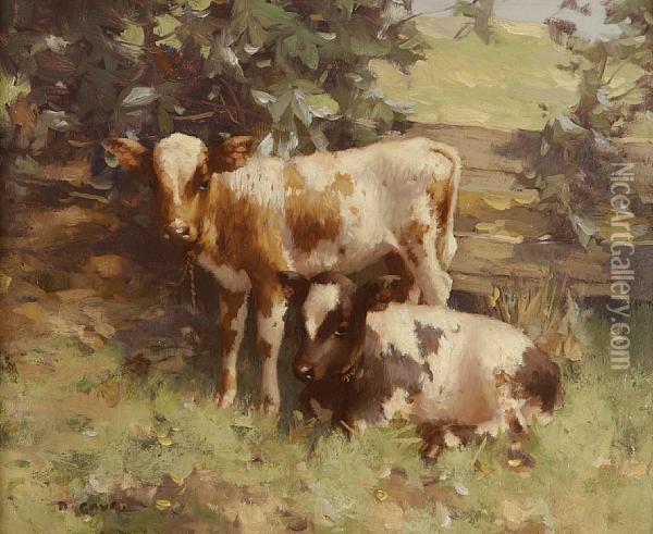 Two Calves Oil Painting - David Gauld